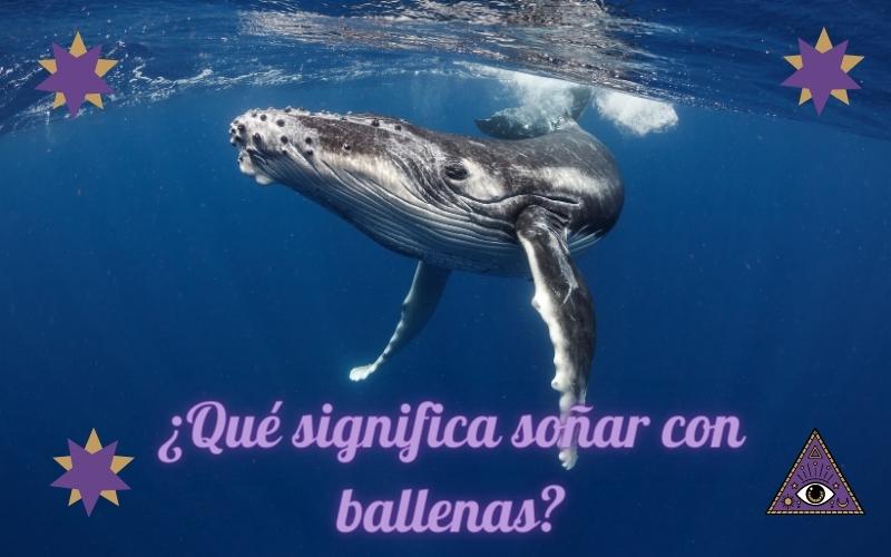 ¿Qué significa soñar con ballenas?